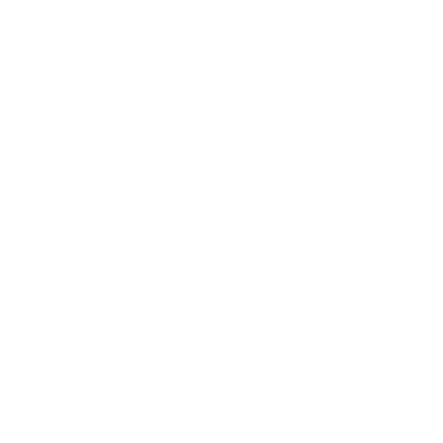 Modern Day Coach